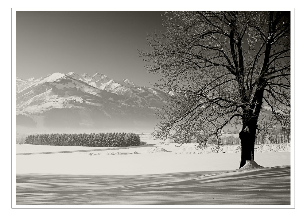 Winter in Sepia