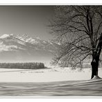 Winter in Sepia