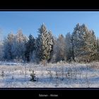 Winter in Sibirien