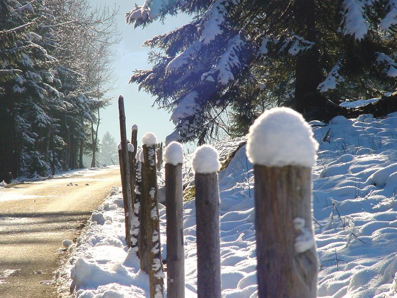 Winter in Sibratsgfäll