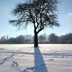 Winter in Siebenknie