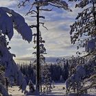 Winter in Sodankylä