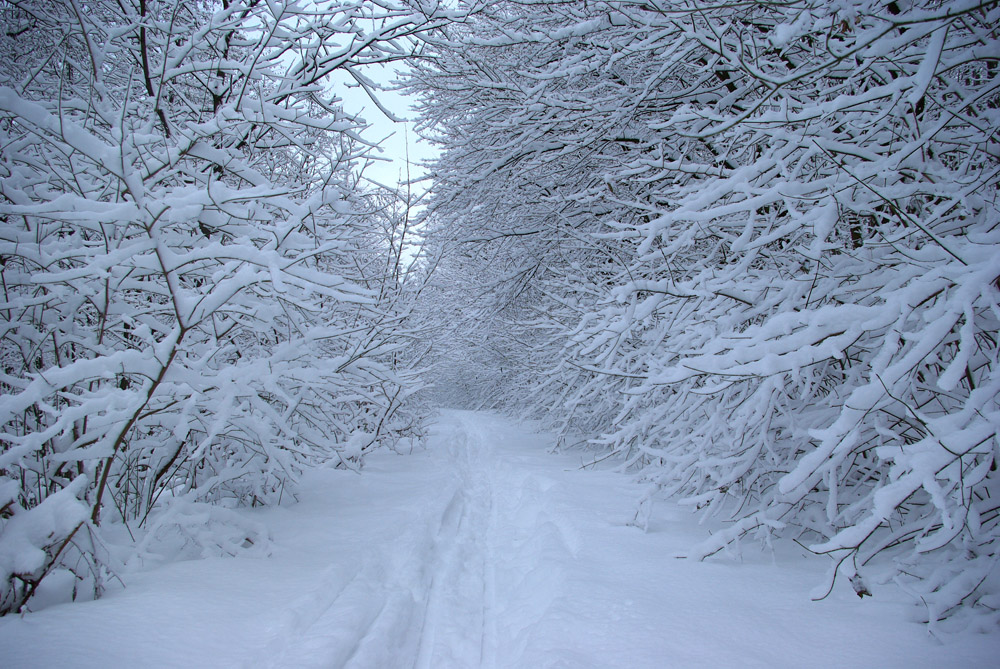 Winter in Solingen