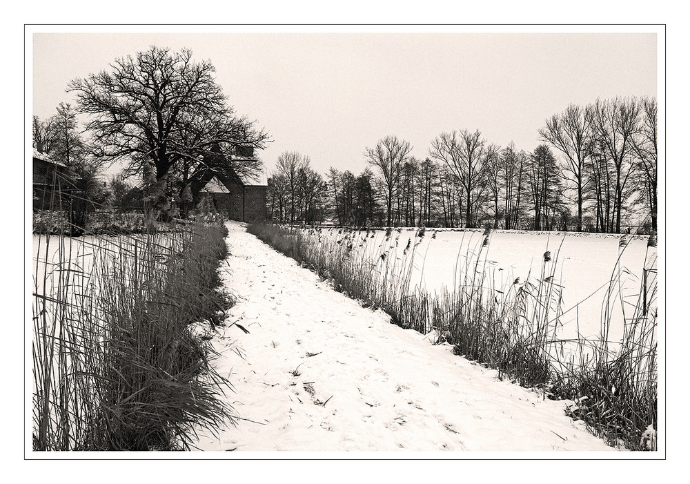 Winter in Sommersdorf