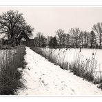 Winter in Sommersdorf