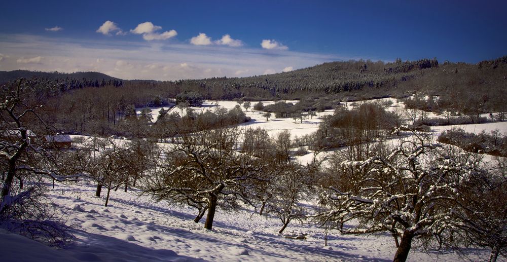 winter in south germany