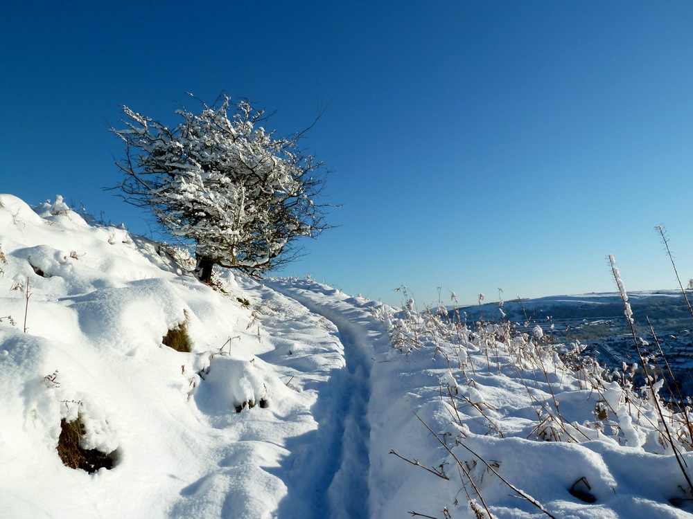 Winter in South Wales 2