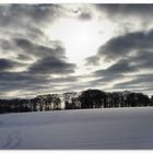 Winter in Steinbergen