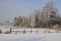 Winter in Stelle 1