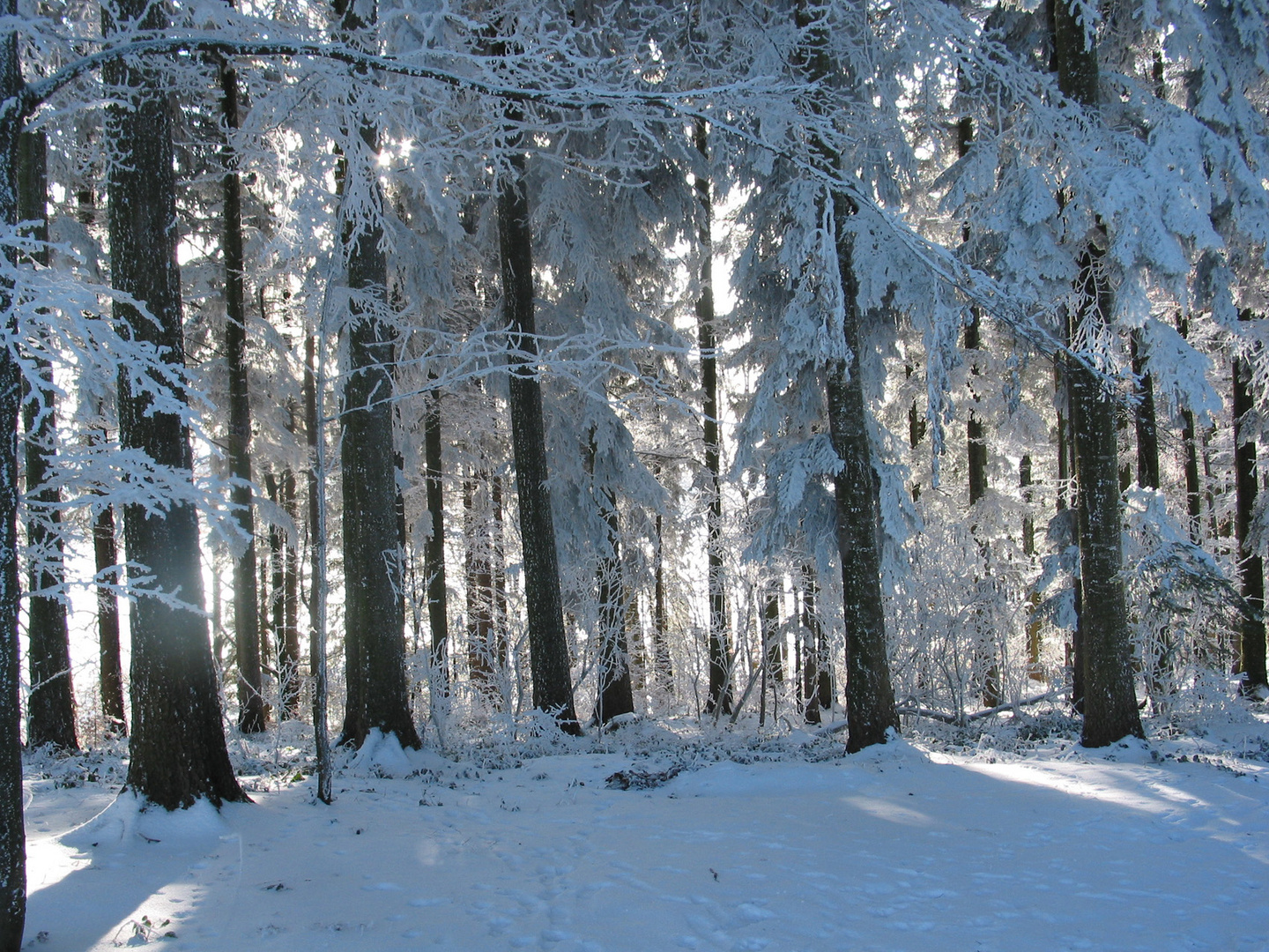 Winter in St.Gallen