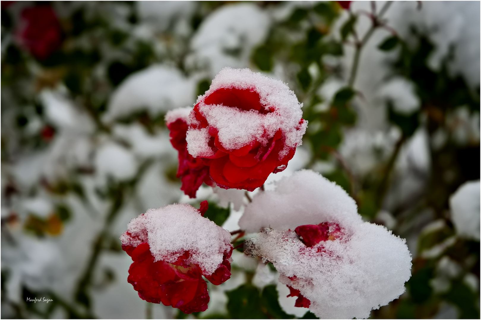 Winter in Stralsund - nur ein kurzes Rendezvous...