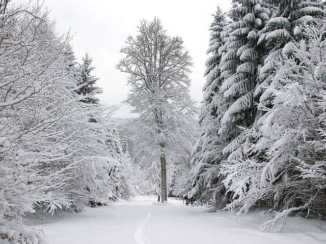 Winter in Süd-Schwarzwald-3