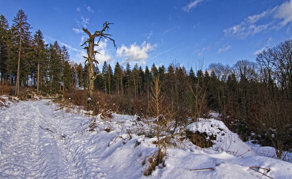 Winter in Südwestfalen II