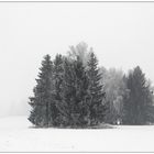 Winter in s/w (3)