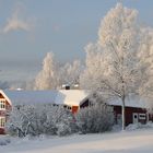 Winter in Sweden
