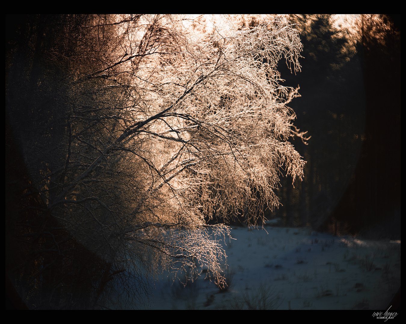 Winter in Sweden