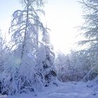 Winter in Switzerland