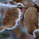 Winter in Switzerland