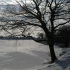 Winter in Tarup(Flensburg) unweit der dänischen Grenze