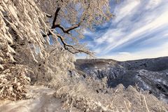 Winter in Thale/ Harz