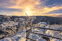 Winter in Thale/ Harz