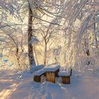 Winter in Thale/ Harz