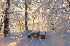 Winter in Thale/ Harz