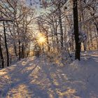 Winter in Thale/Harz