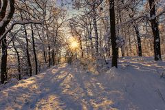 Winter in Thale/Harz