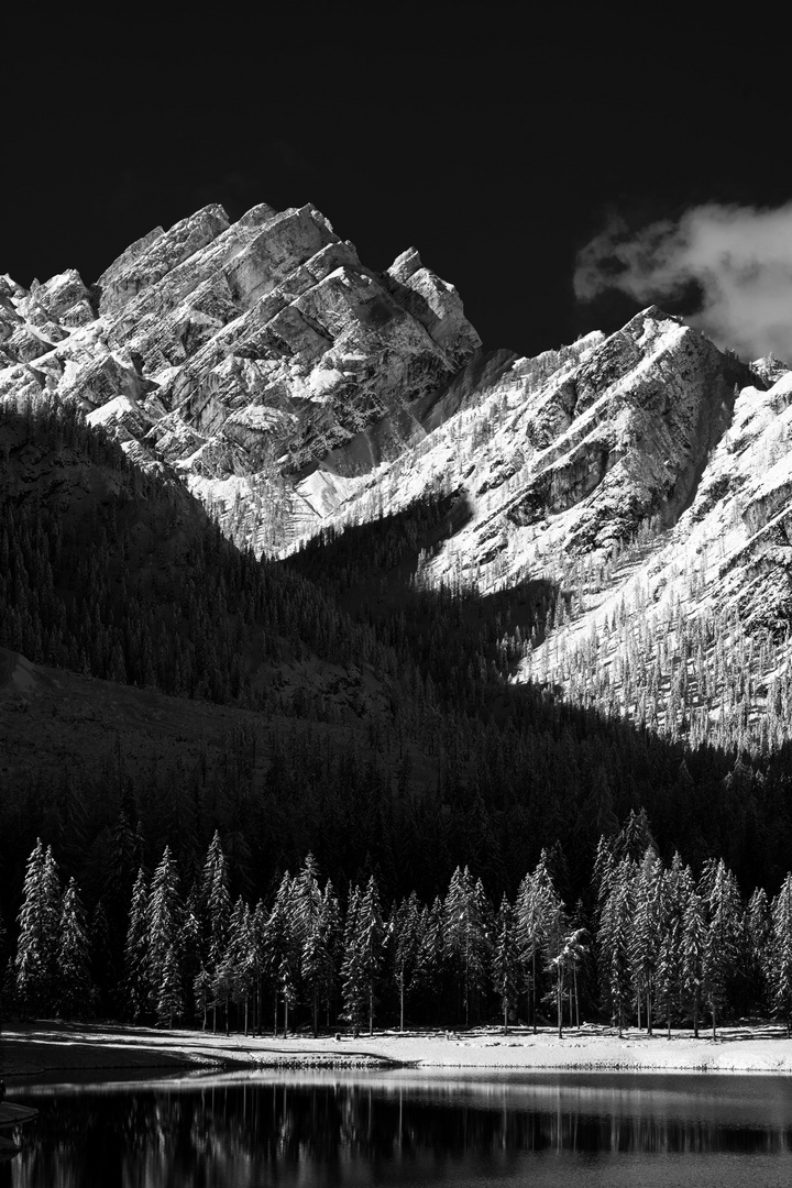 Winter in the alps