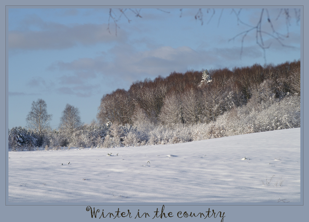 Winter in the country