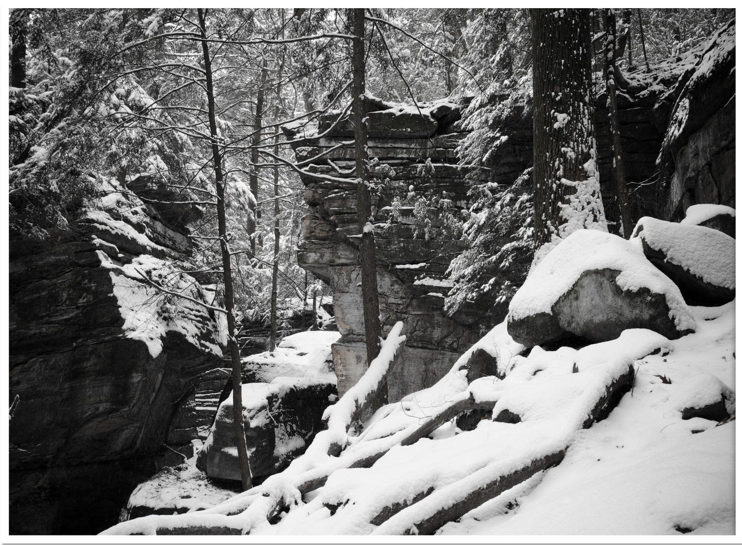 Winter in the Cuyahoga Valley National Park 1