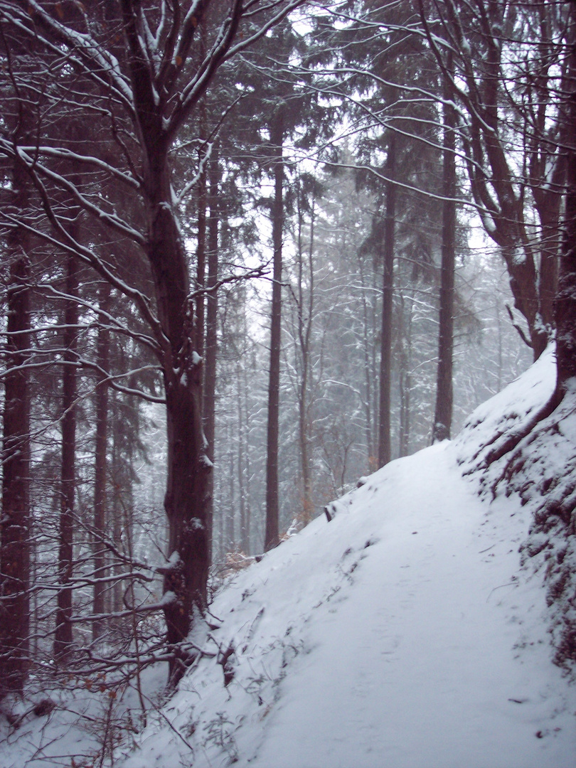 Winter in the Harz Mountains