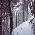 Winter in the Harz Mountains