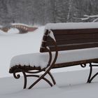 Winter in the Kuzminki Park