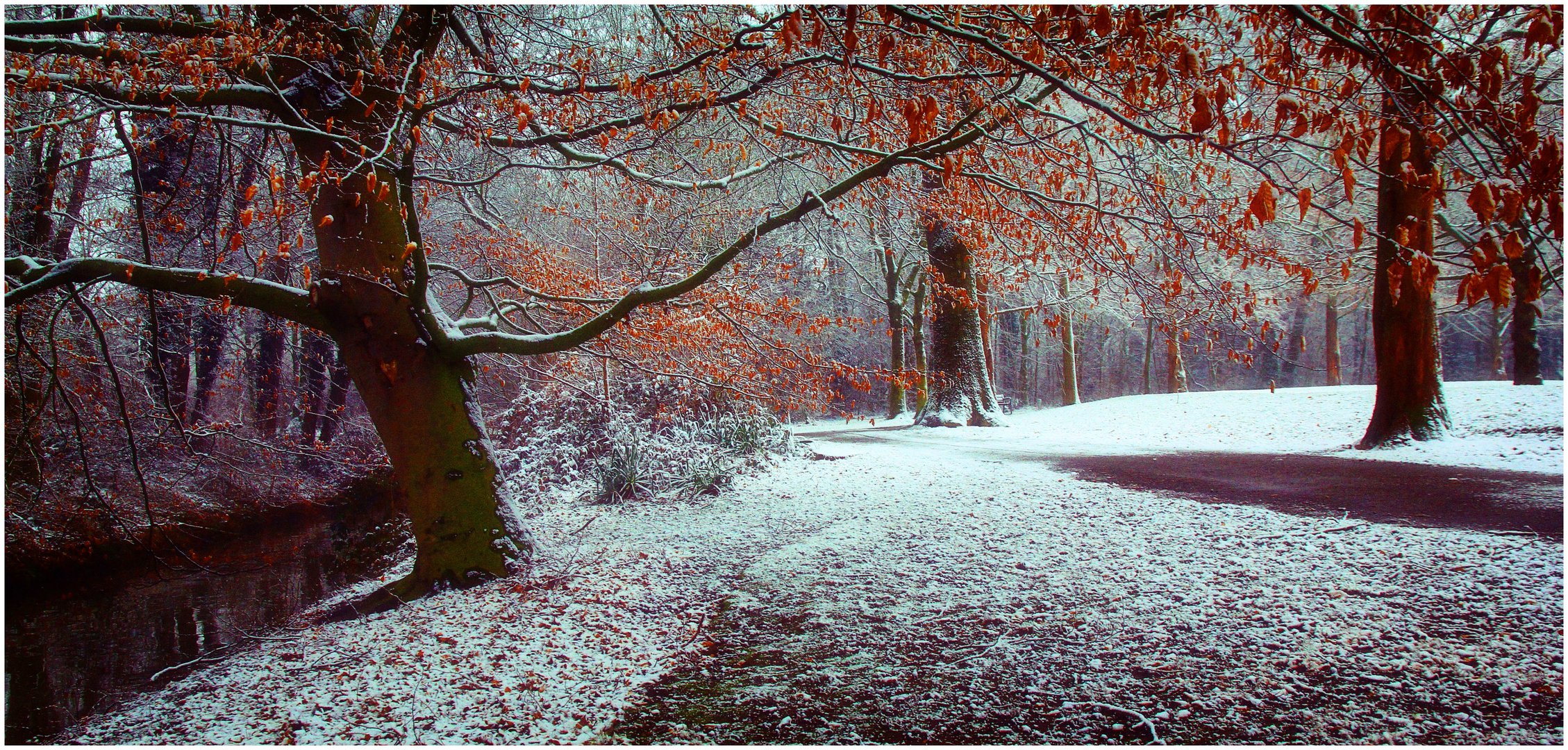 Winter in the park