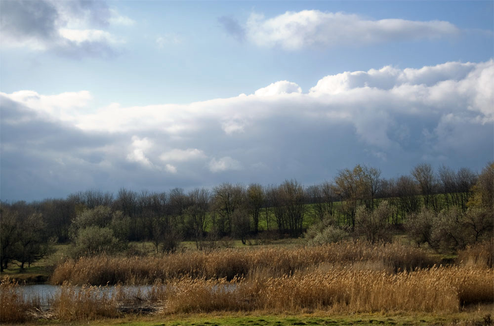 winter in the steppe