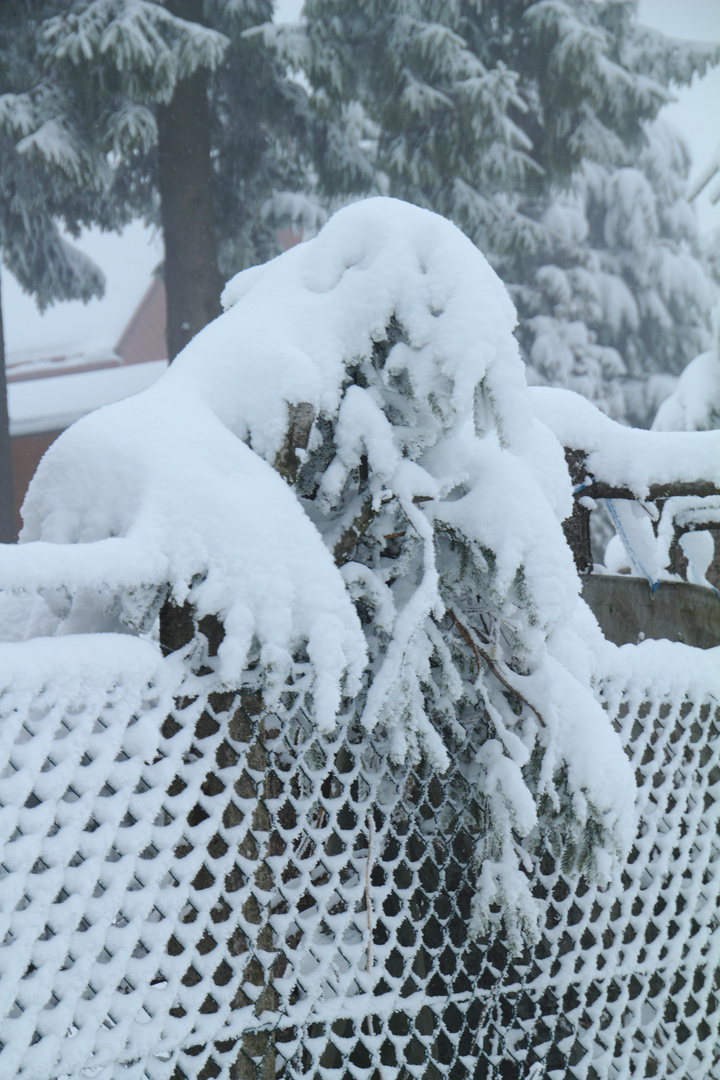 Winter in Thüringen