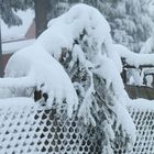 Winter in Thüringen