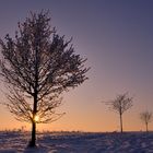 Winter in Thüringen