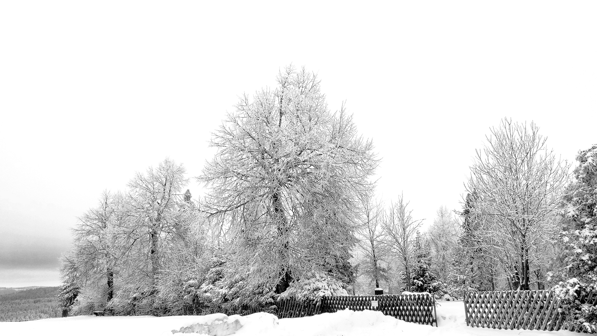 Winter in Thüringen