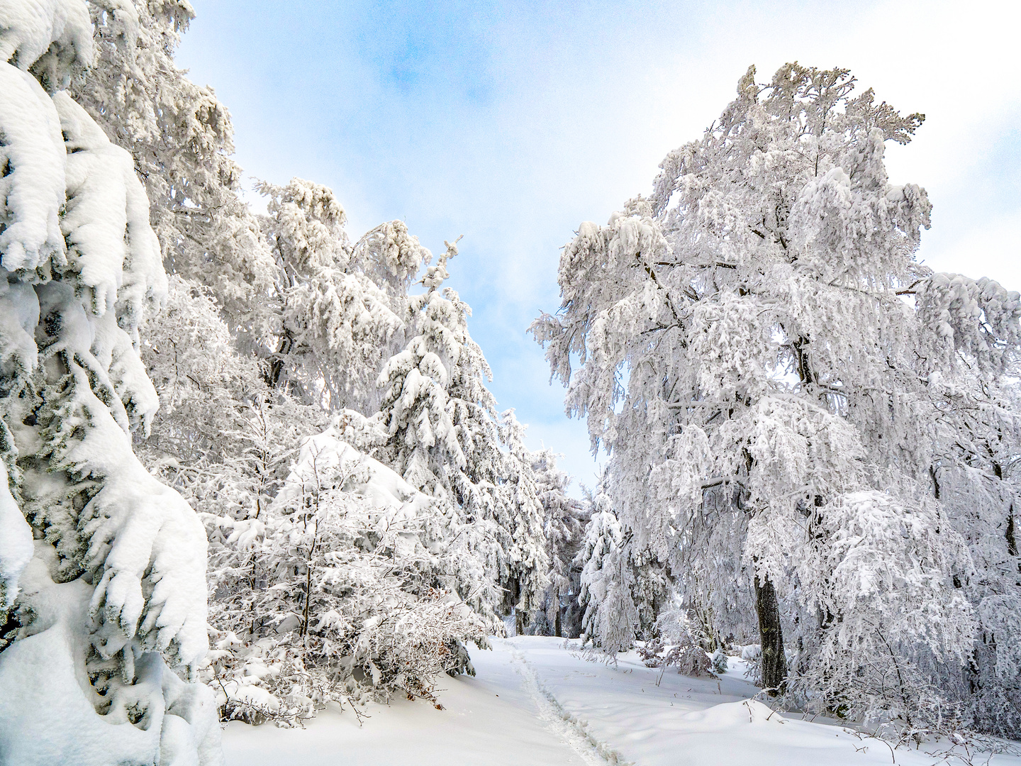 Winter in Thüringen