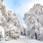 Winter in Thüringen