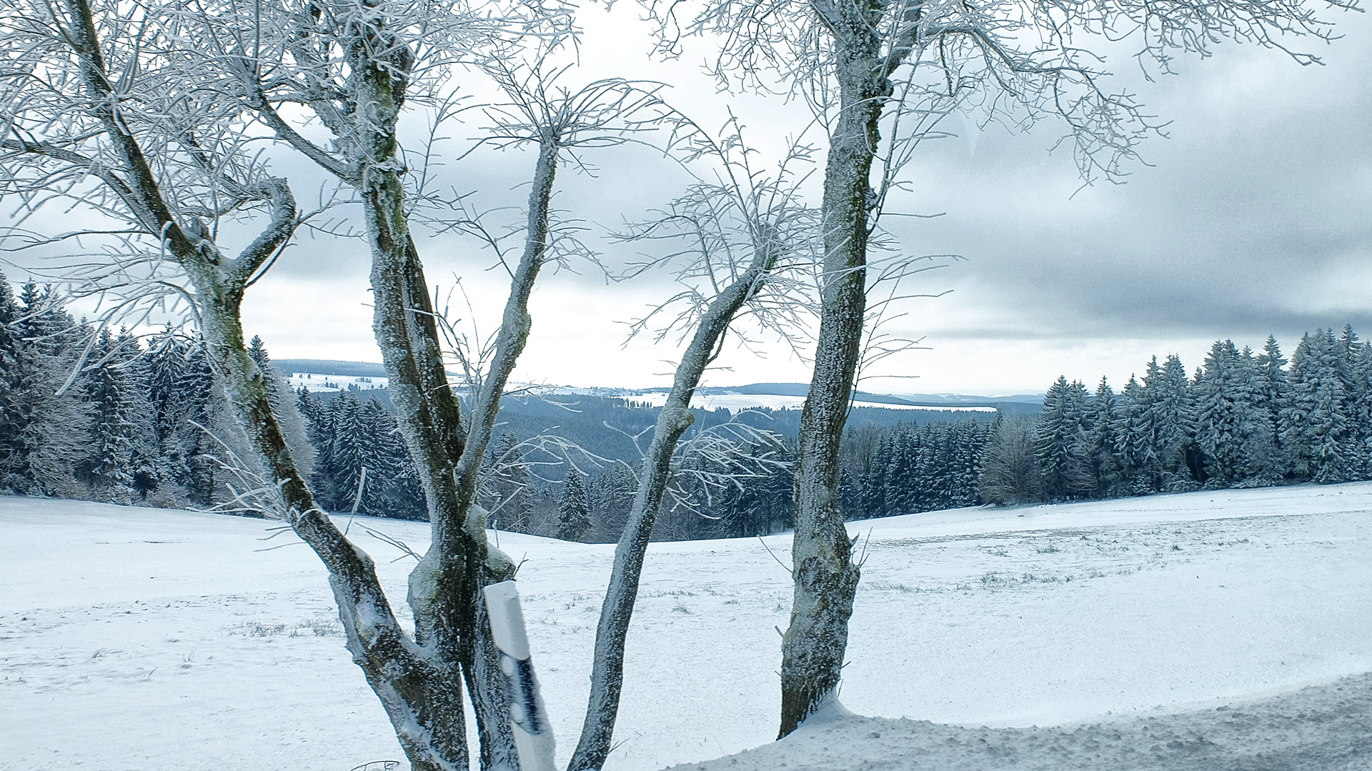 Winter in Thüringen