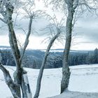 Winter in Thüringen