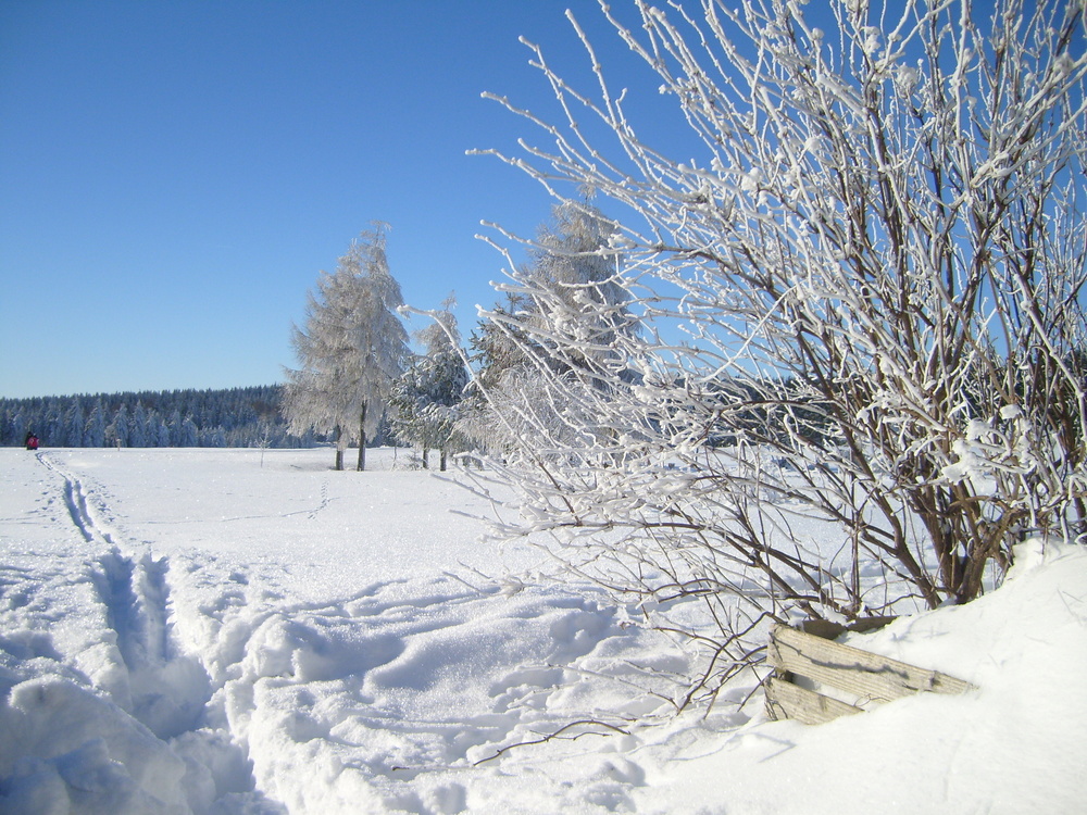 Winter in Thüringen