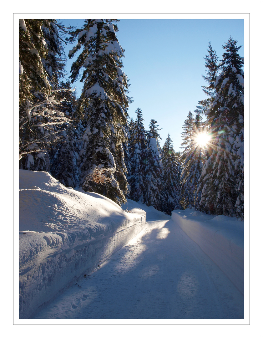 Winter in Tirol!