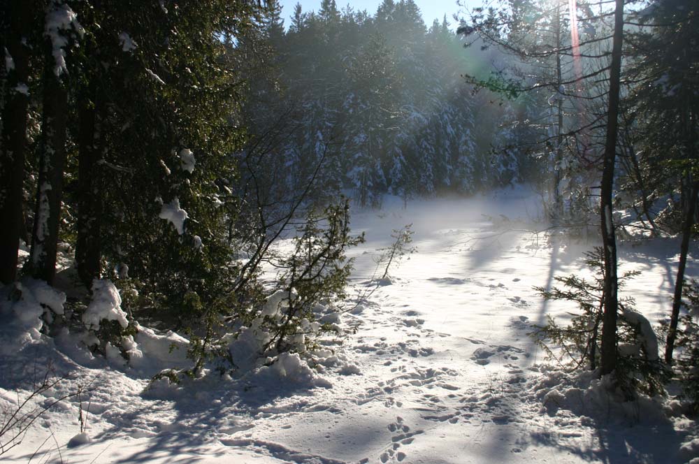 Winter in Tirol