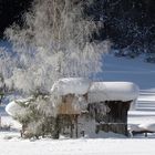 Winter in Tirol