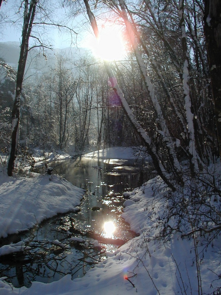 Winter in Tirol